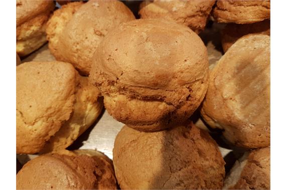 Daly's Plain Scone
