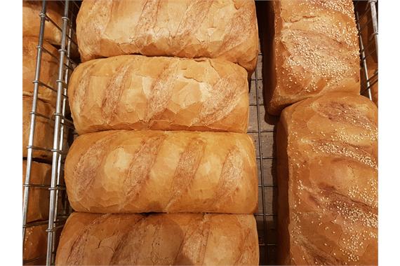  Large Seeded White Pan