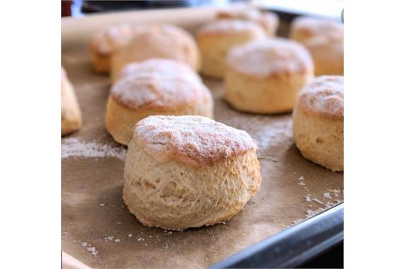 Scones-Plain-RAW-Case 60 x 150g