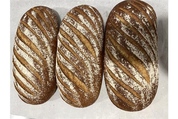 BROWN BLOOMER DOUGH