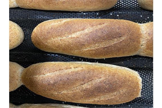 LARGE BROWN CRUSTY ROLL