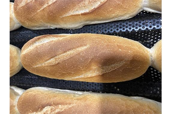 LARGE WHITE CRUSTY ROLL