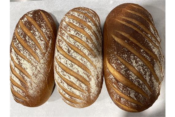 PLAIN WHITE BLOOMER