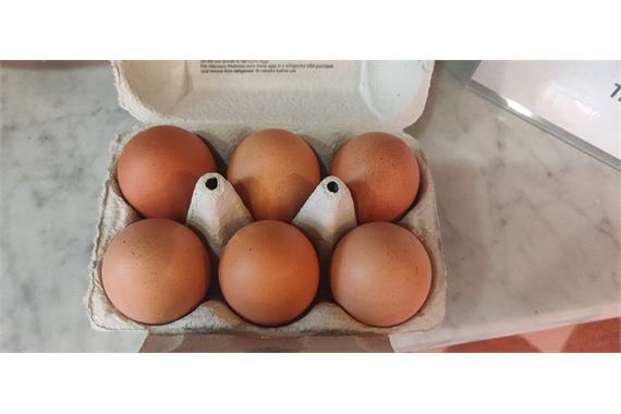 Eggs