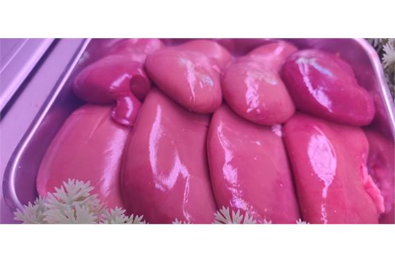 Pork Kidney